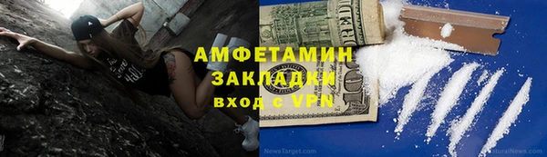 прущие грибы Верхний Тагил