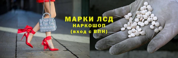 прущие грибы Верхний Тагил