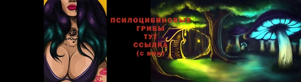 спайс Бородино