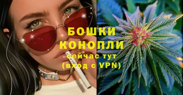 спайс Бородино