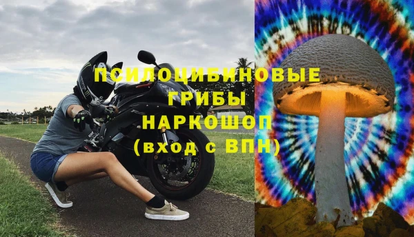 гидра Бронницы