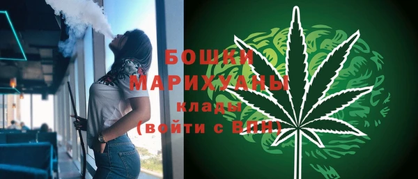 спайс Бородино